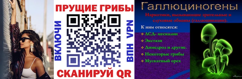 хочу   Торжок  Псилоцибиновые грибы мицелий 