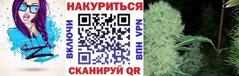 наркотики Торжок Шишки марихуана Amnesia